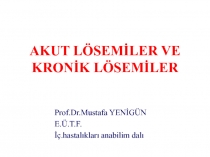 AKUT LÖSEMİLER VE KRONİK LÖSEMİLER