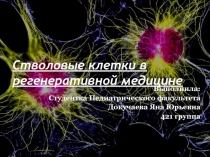 Стволовые клетки в регенеративной медицине