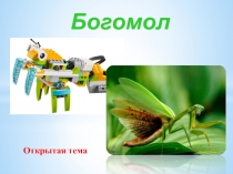 Богомол
Открытая тема