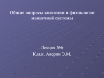 Общие вопросы анатомии и физиологии мышечной системы