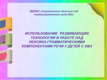 ИСПОЛЬЗОВАНИЕ РАЗВИВАЮЩИХ ТЕХНОЛОГИИ В РАБОТЕ НАД ЛЕКСИКО-ГРАММАТИЧЕСКИМИ