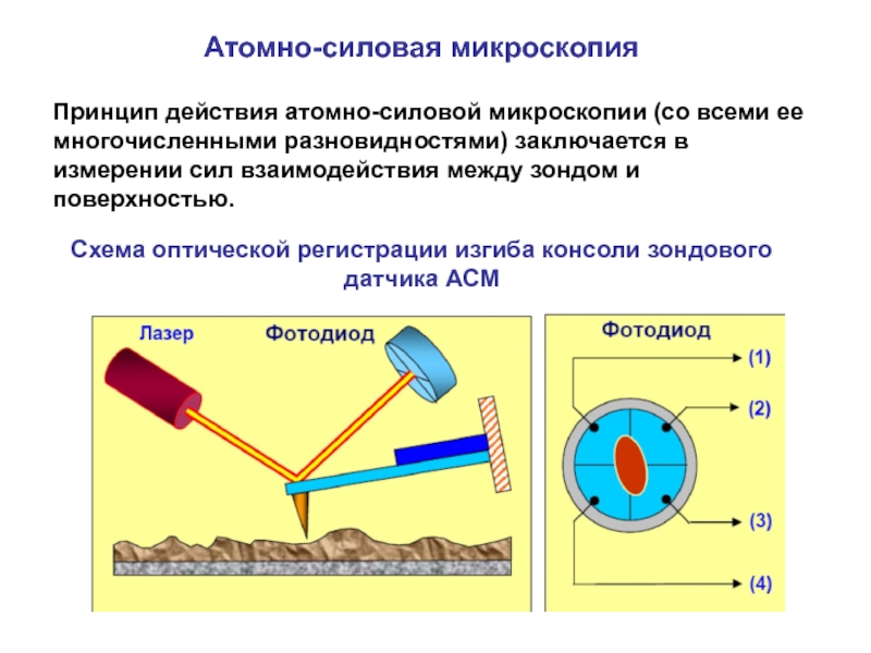 Атомно силовой микроскоп схема