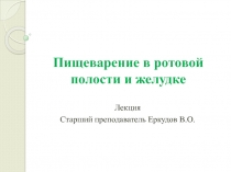 Пищеварение в ротовой полости и желудке