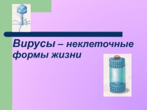 Вирусы – неклеточные формы жизни