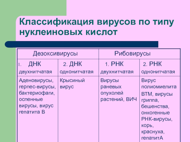 Классификация вирусов