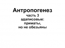 Антропогенез часть 3 адаписовые: приматы, но не обезьяны