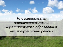 Инвестиционная привлекательность муниципального образования Малопургинский