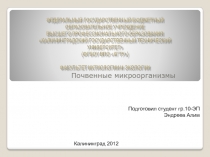 Почвенные микроорганизмы
Подготовил студент гр.10-ЭП
Эндреев Алим
Калининград