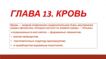 ГЛАВА 13. КРОВЬ