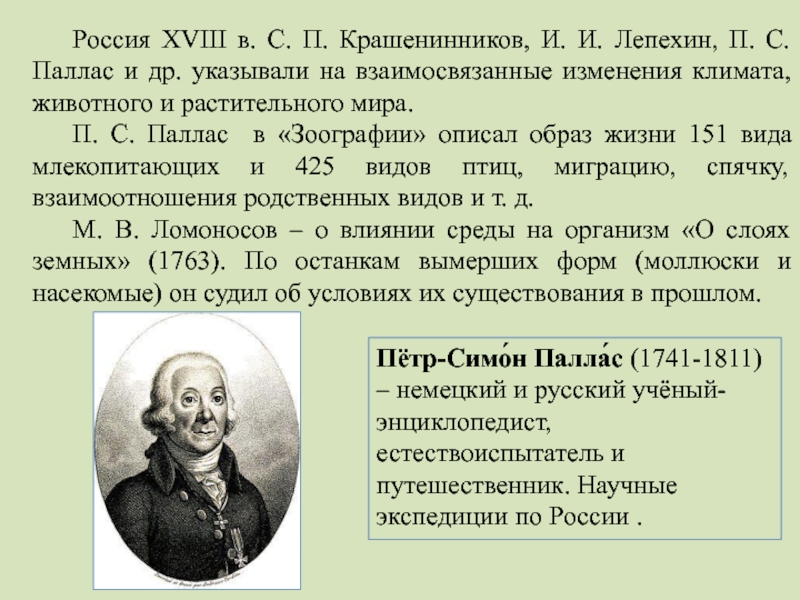 Вклад п. П. С. Паллас (1741-1811). Паллас и Лепехин. Достижения п. с Паллас и и. и Лепехин. Петр Симон Паллас вклад в экологию.