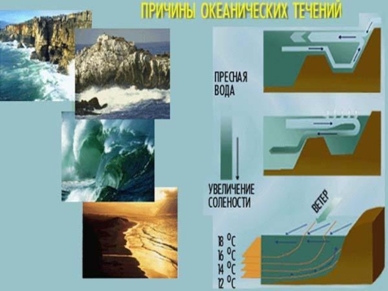 Сон вода течение. Схема волны в океане. Части гидросферы Морское течение. Воды минерального океана схеме поверхности течения рисунок. Воды мирового океана схема поверхностей течений доклад.