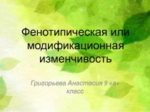 Фенотипическая или модификационная изменчивость