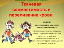 Презентационное сопровождение урока по анатомии человека в 8 классе: Тканевая