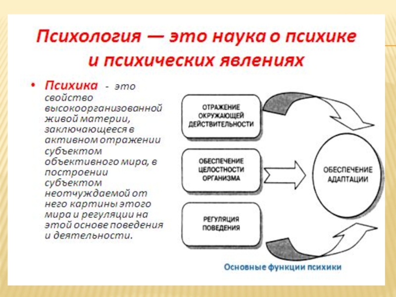 Отражающая деятельность. Обеспечение целостности организма функция психики. Инфраструктура в психике. Дайте название схеме неустойчивость психики. Шаткая психика что значит.