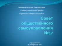 Совет общественного самоуправления №17