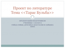 Проект по литературе Тема << Тарас Бульба >>