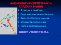 ФИЗИОЛОГИЯ СКЕЛЕТНЫХ И ГЛАДКИХ МЫШЦ
Функции и свойства.
Виды мышечного