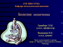 ГОУ ВПО УГМА Кафедра патологической анатомии Болезни кишечника