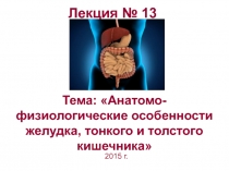 Лекция № 13