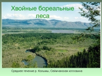 Среднее течение р. Колымы, Сеймчанская котловина
Хвойные бореальные леса