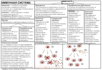 ИММУННАЯ СИСТЕМА
Иммунитет – способность организма распознавать чужеродные