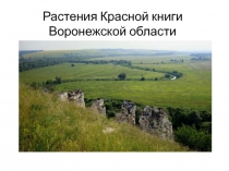 Растения Красной книги Воронежской области