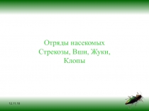 12.11.18
Отряды насекомых
Стрекозы, Вши, Жуки, Клопы