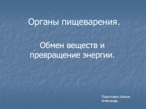 Органы пищеварения