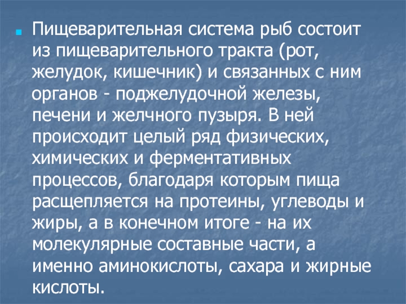 Настрои сытина желудок кишечник. Из чего состоит пищеварительная система рыб.