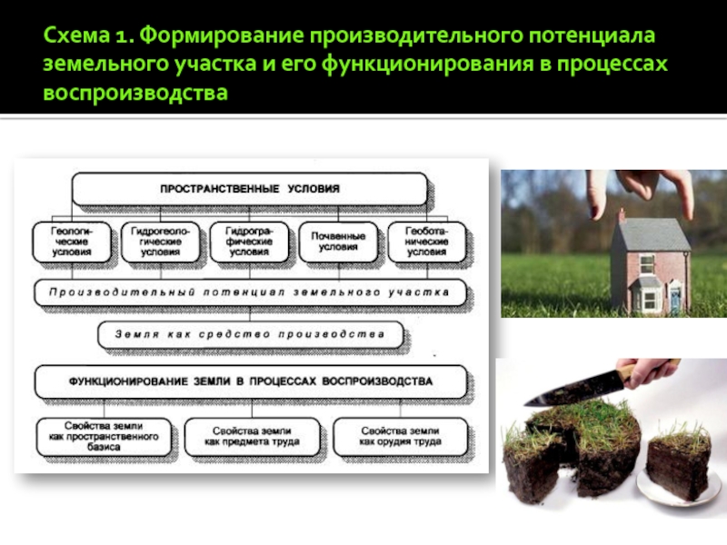 Земельные средства производства. Потенциал использования земельного участка. Формирование земли. Определить потенциал земельного участка. Способы воспроизводства земельных ресурсов.