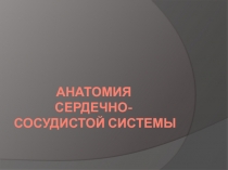 АНАТОМИЯ СЕРДЕЧНО-СОСУДИСТОЙ СИСТЕМЫ