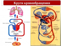 к экзамену картинки по просьбам