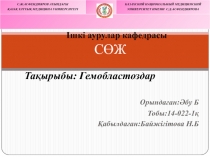 Ішкі аурулар кафедрасы СӨЖ