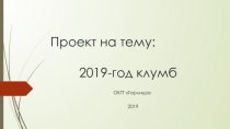 Проект на тему: 2019-год клумб