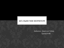 Жұлын - ми нервтері