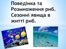 Повед інка та Розмноження риб. Сезонні явища в житті риб