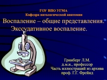 ГОУ ВПО УГМА Кафедра патологической анатомии Воспаление – общие представления