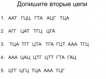 Допишите вторые цепи