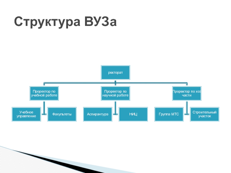 Структура вуза схема организационная