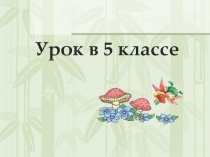 Урок в 5 классе