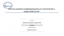 Использование информационных технологий в индустрии услуг