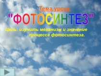 Тема урока :