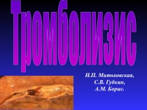 Тромболизис
Н.П. Митьковская,
С.В. Губкин,
А.М. Борис