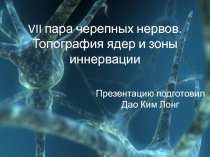 VII пара черепных нервов. Топография ядер и зоны иннервации