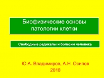 Свободные радикалы и болезни человека