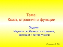 Тема: Кожа, строение и функции