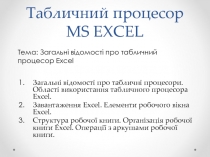 Табличний процесор MS EXCEL