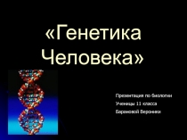 Генетика Человека