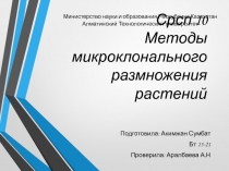 Срсп 10 Методы микроклонального размножения растений