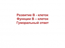 Развитие В - клеток
Функции В – клеток
Гуморальный ответ